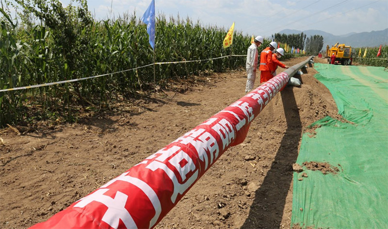 ��ҳ|�����������ǲ��������